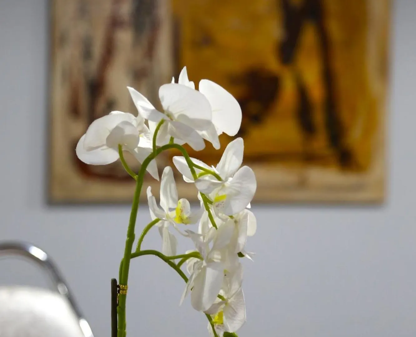 بيت ضيافة Guesthouse Doanesia Mezez