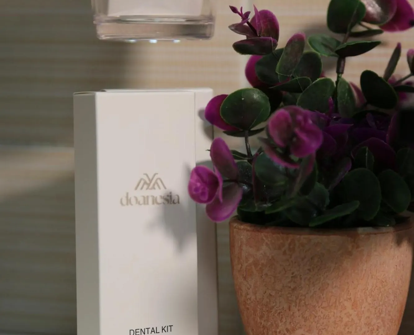 Guesthouse Doanesia Mezez بيت ضيافة